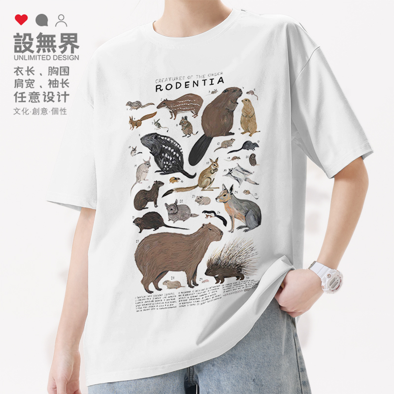 啮齿动物松鼠豪猪海狸刺猬动T恤
