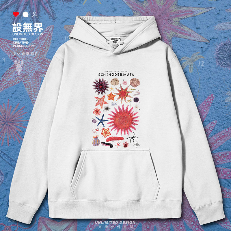 棘皮动物门海星海胆海参连帽卫衣