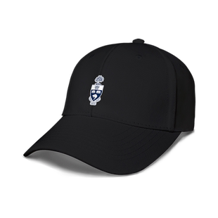 多伦多大学UT名学校学生毕业纪念潮防晒鸭舌帽男女夏休闲设 无界