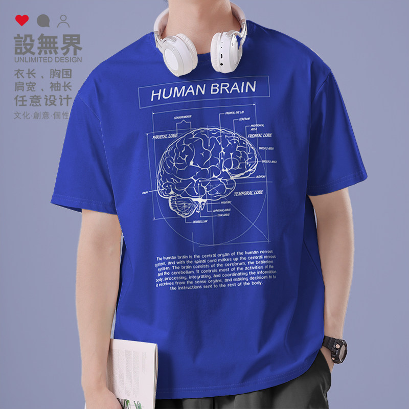 大脑纯棉服装生物学衣服短袖T恤图片