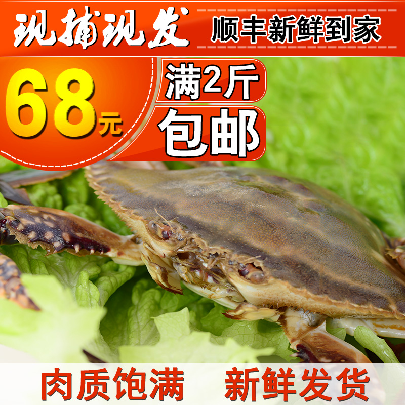 青岛海螃蟹鲜活特大海鲜公梭子蟹500g鲜活免邮新鲜顺丰包邮冷冻