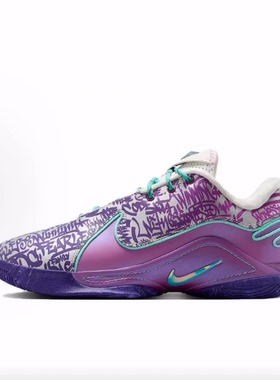 Nike LeBron 22 EP  篮球鞋 男女同款