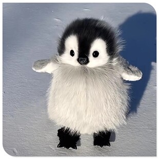 卡通可爱小熊萌萌哒企鹅毛绒玩具海洋馆动物玩偶礼物小企鹅玩偶