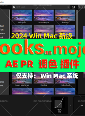 AE Magic Bullet Suite mojo looks插件调色滤镜2024版WinMac汉化