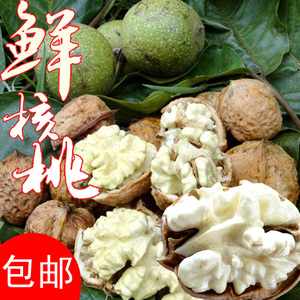 包邮热卖四川新鲜食用去青薄皮湿核桃高山现摘鲜香原汁原味5斤/份