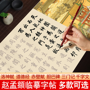 赵孟俯行书楷书毛笔临摹字帖洛神赋道德经胆巴碑三门记千字文赤壁赋汲黯传书法初学者入门套装成人描红练字帖