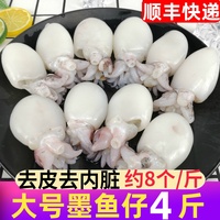 大号墨鱼仔4斤新鲜鲜活海鲜去内脏冷冻墨鱼目鱼仔鲜冻墨斗鱼火锅