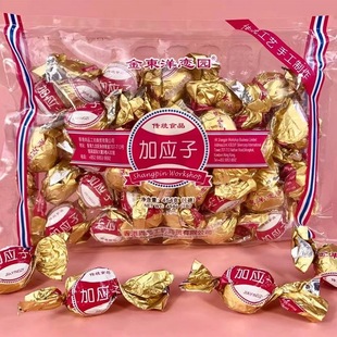 香港金东洋恋园陈皮梅454g袋装 加应子李子干果脯蜜饯儿时回忆零食