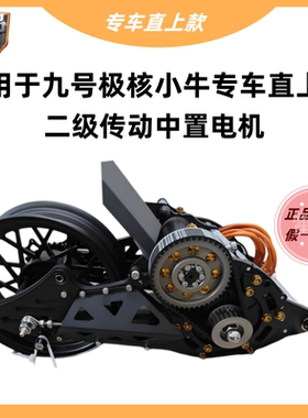 雷利二级传动中置电机总成适用于九号小牛极核直上3000w4000w水冷