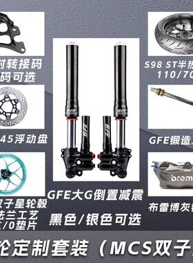 GFE狙击者G352大G倒置前减震前轮套装前面一套九号ENM小牛极核AE4