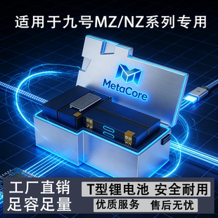 适用九号Nzmix/Fz/Mzmix电动车锂电池60V72v120AH宁德三元大单体
