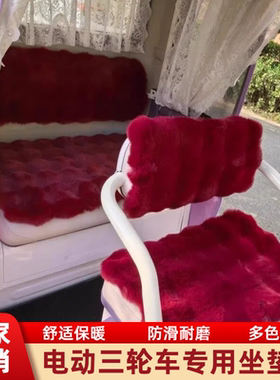金彭SU7电动三轮车座套冬季毛绒加厚保暖新日H80小鸟q6q8坐垫套罩