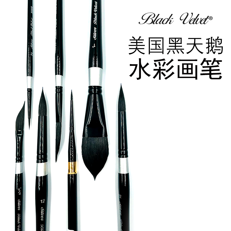blackvelvet3000s专业水彩画笔