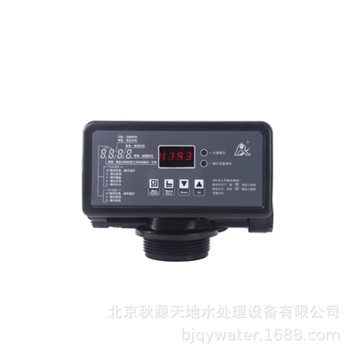 自动软化控制阀润新F117Q1（