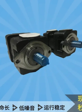 供sumitomo住友高压内啮液压齿轮泵QT23/4/5/6.3/8注塑机油泵