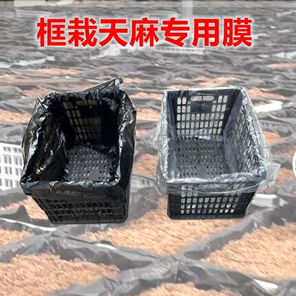 天麻专用防潮内膜袋种植塑料袋黑色特大号平口袋子框栽天麻薄膜袋