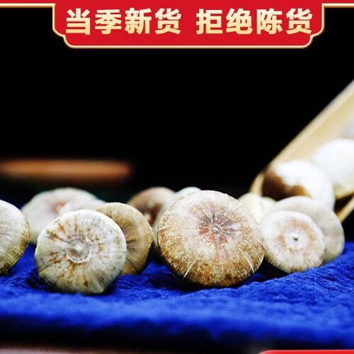正品益肾子广西风流果