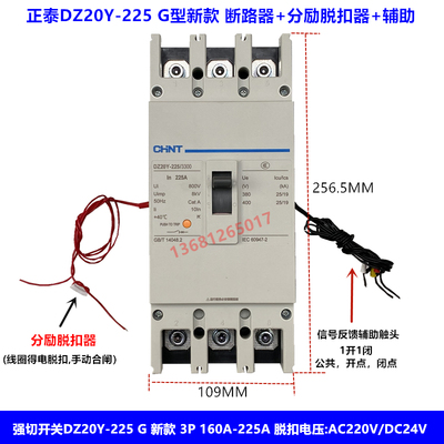 分励脱扣断路器DZ20Y-225/3340