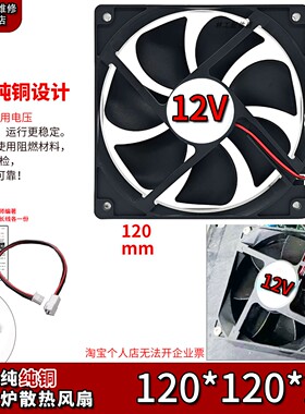 12V纯铜商用电磁炉散热风扇 品牌大功率通用配件阻燃排风机12025
