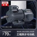 2极4极11 22w变频调速三相异步交流电动机YVF2变频电机马达