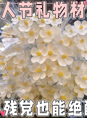 白色紫罗兰干花花束搭配专属花材