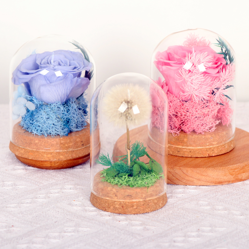 网红蒲公英玫瑰花束玻璃罩干花