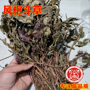 野生中药材风柜斗草500g风谷草楮头红风豉草无硫天然正品批中草药