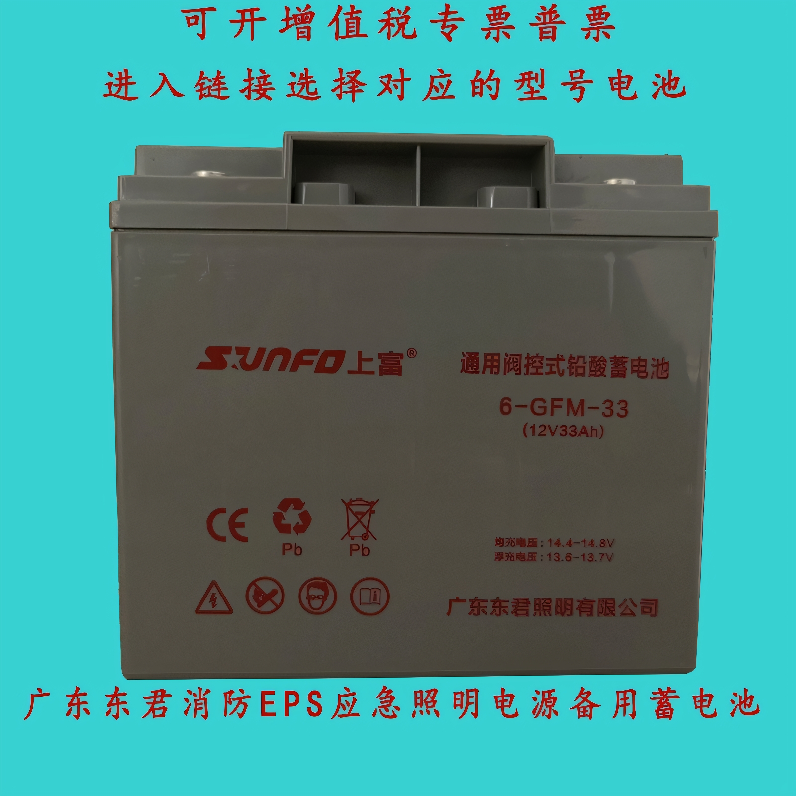 东君EPS应急照明电源用蓄电池