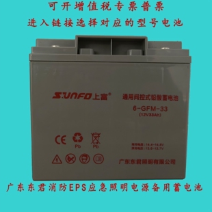 广东东君EPS应急照明集中电源配电箱控制柜36V上富蓄电池6FM33AH