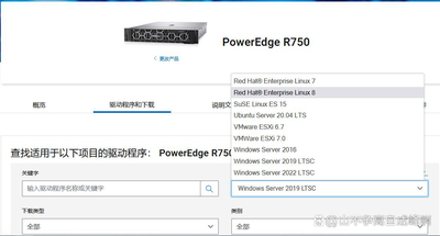 DELL R750 R750XD服务器安装2012R2系统