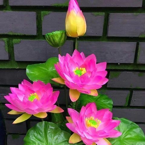 假花 仿真大荷花王睡绢花干花落地插花盆景供佛摆放花艺鱼缸装饰