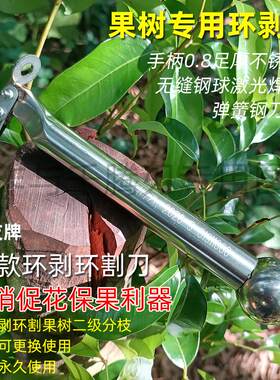 荔枝环剥刀荔友桂味妃子笑仙进奉