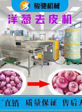 全自动洋葱气动去皮机洋葱去皮机圆葱压气流去皮机