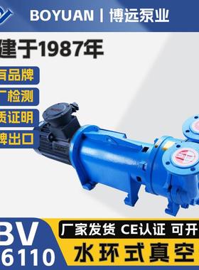 2BV6110水环式真空泵BT4防爆4kW铸铁304化工电厂厂家高效节能