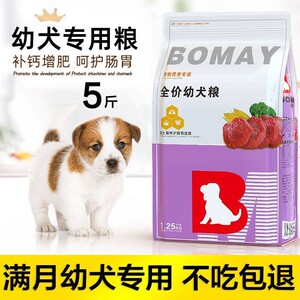 满月后的小奶狗1一6个月狗粮离乳期金毛泰迪田园犬土狗幼犬通用型
