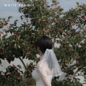 气质可爱俏皮头纱 WHITE 复古珍珠迷你头纱 初秋 旅拍清新 FANGLE