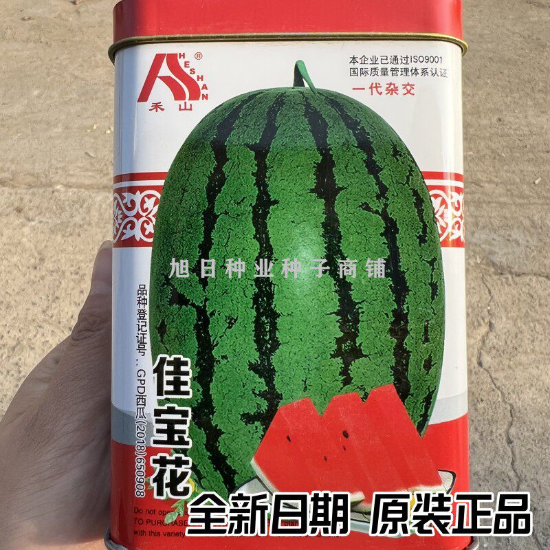 禾山佳宝花懒汉大果西瓜种子