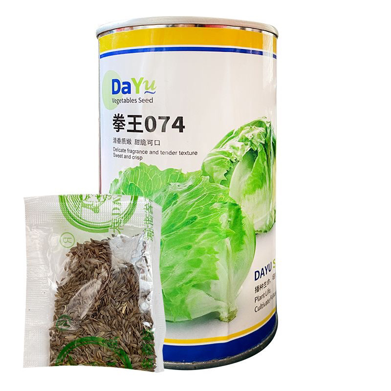 大禹拳王074生菜种子 结球紧实脆嫩卷芯圆生菜籽春秋四季蔬菜种孑