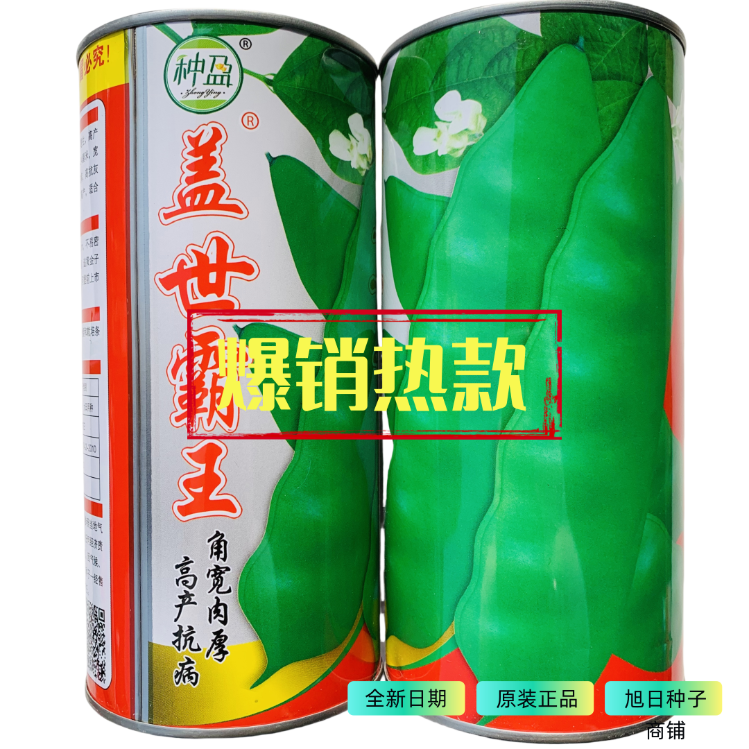 东北油豆角品种高产抗病结荚多