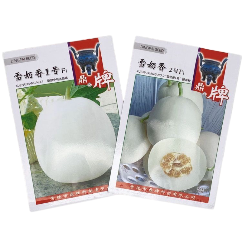鼎牌雪奶香2号甜瓜种籽高产早熟薄皮甜度高白皮白肉1号香瓜种子孑