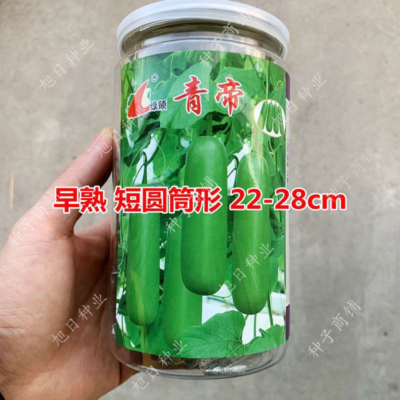 绿领正品青帝短瓠子瓜蔬菜种子