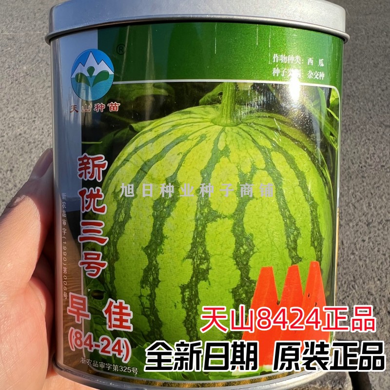 天山正宗新疆早佳8424西瓜种子