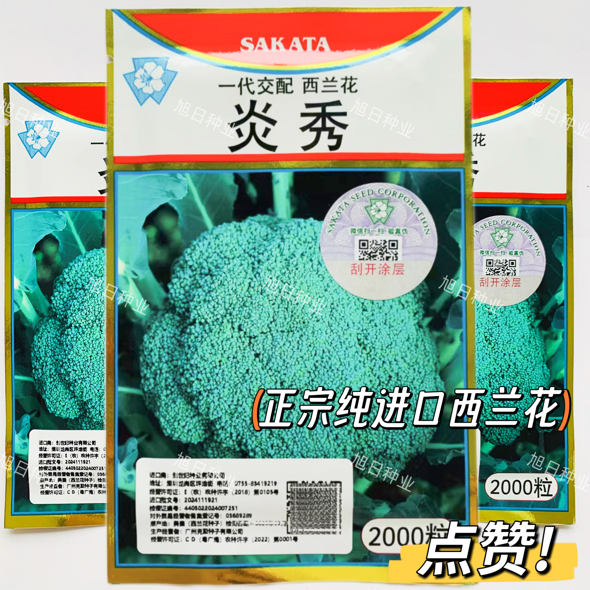 【炎秀】日本坂田中熟耐热青花菜绿花菜西蓝花西兰花种子
