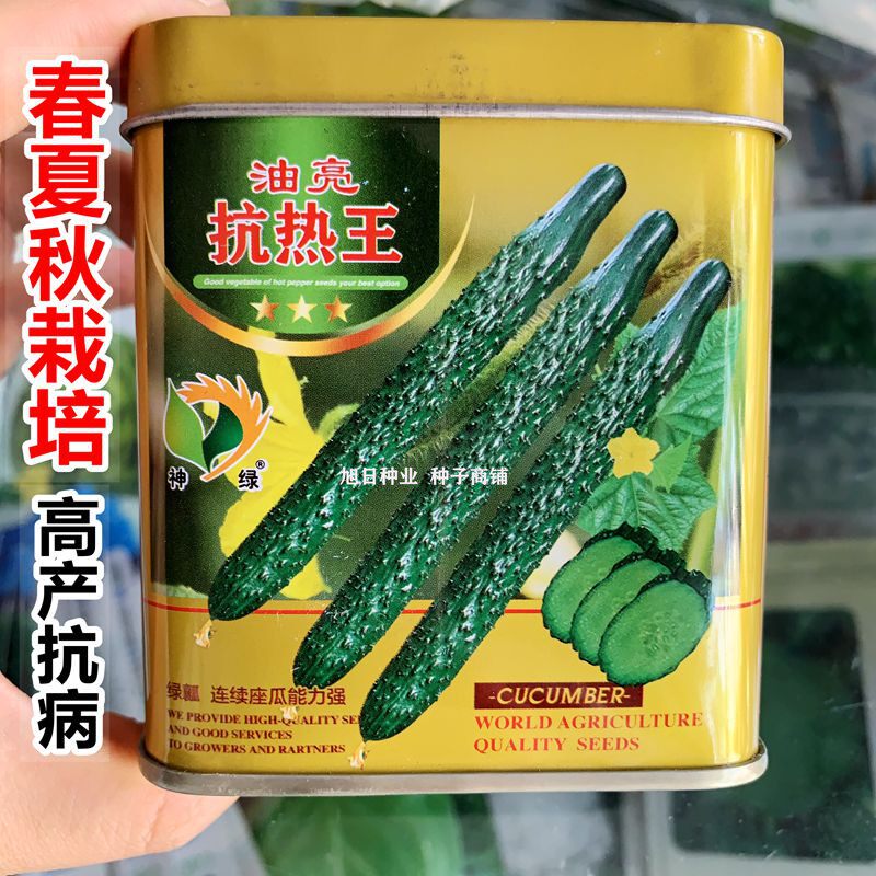 黄瓜种子山东神绿油亮抗热王顺直油亮绿瓤高产抗病春夏秋四季菜籽