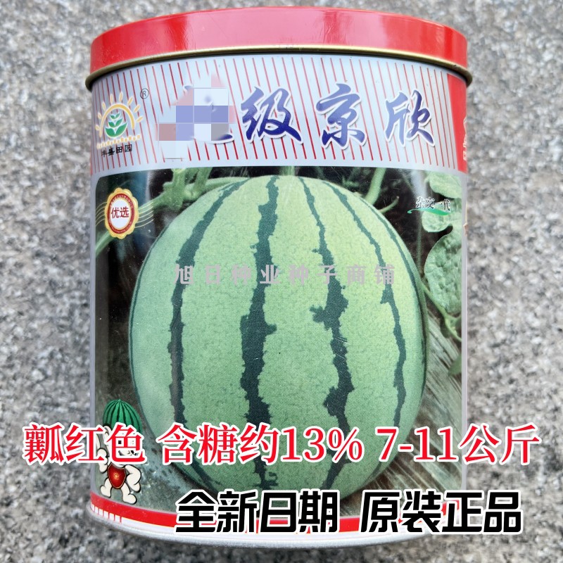 丰盛超级京欣西瓜种子粉红瓤西瓜