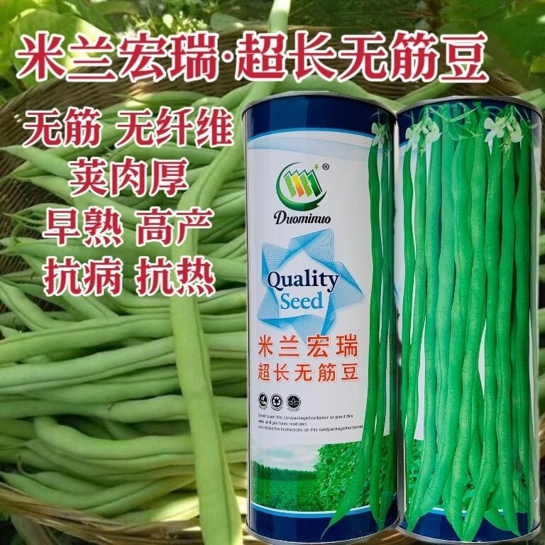 米兰宏瑞超长无筋豆种子无纤维无筋四季豆架豆王豆角种子春秋架豆
