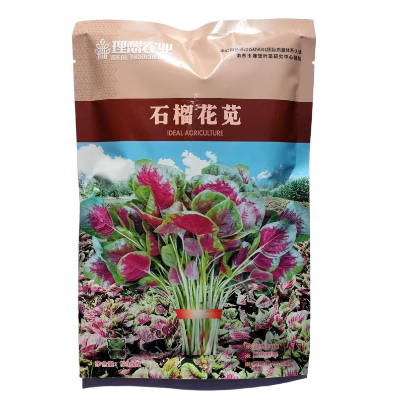 石榴花苋菜种子耐热耐抽苔红圆叶苋菜种籽春秋四季蔬菜种籽孑新货