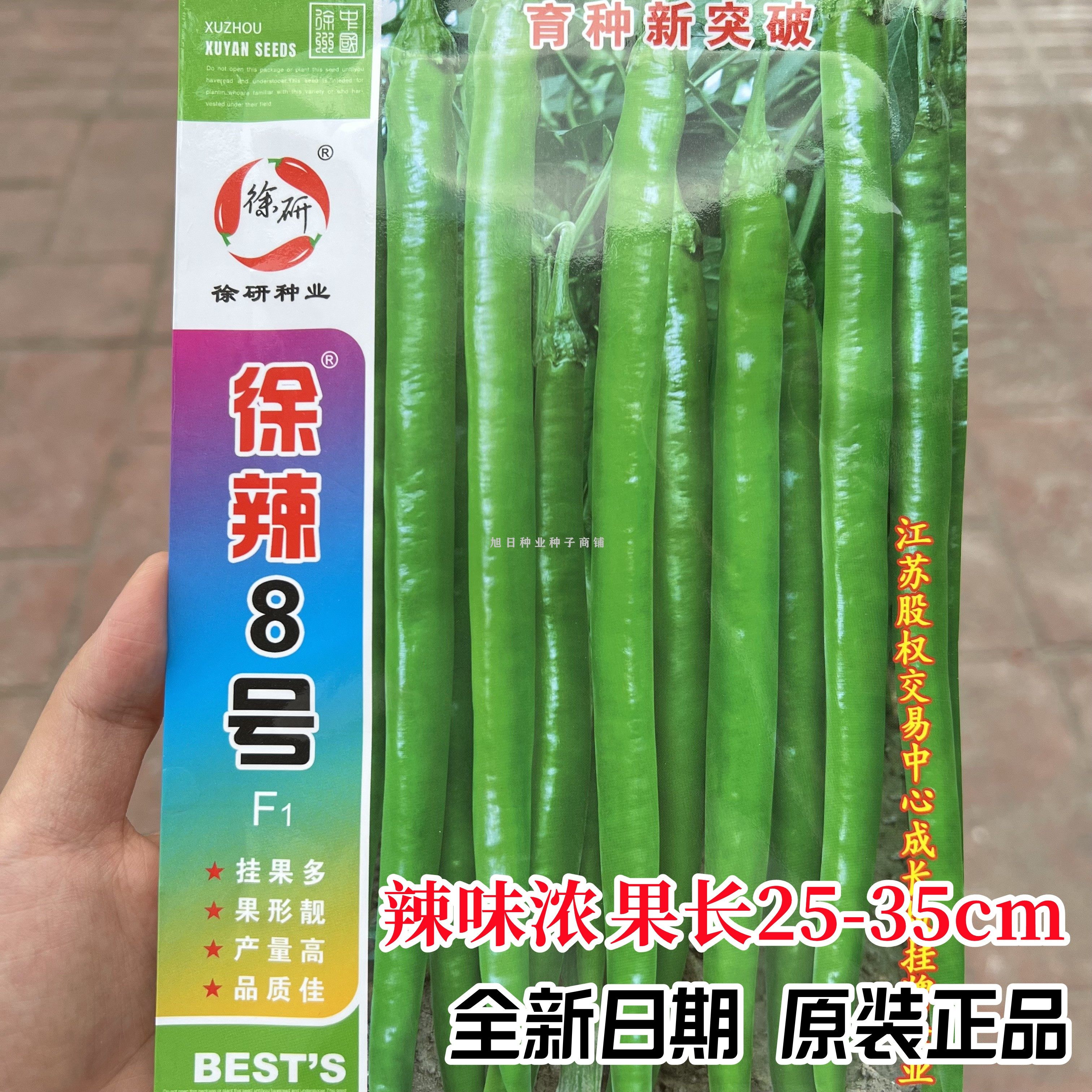 徐研8号辣椒种子线椒超辣顺直