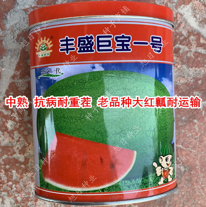 西瓜种籽孑一号绿皮巨型老品种