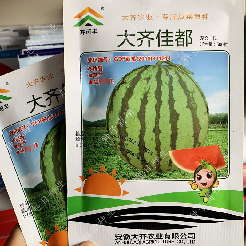 西瓜种籽孑大齐佳都美都品种高产